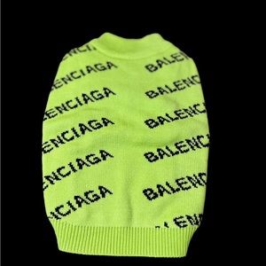 Balenciaga dog sweater